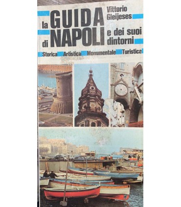 La guida di Napoli e dei suoi dintorni