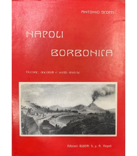 Napoli borbonica