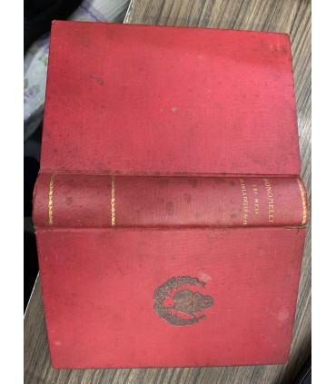 Tre mesi al di là delle Alpi