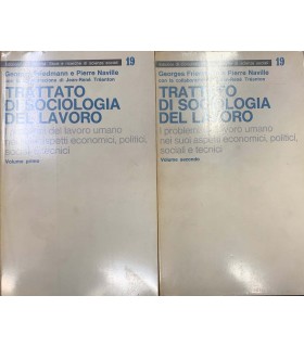 Trattato di sociologia del lavoro