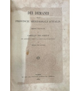 Dei Demanii nelle provincie meridionali d'Italia