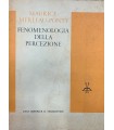 Fenomenologia della percezione