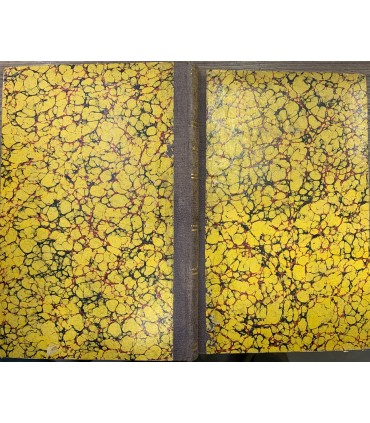 Su la vita e le opere di Pasquale Stanislao Mancini ministro guardasigilli del Regno d'Italia