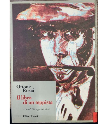Il libro di un teppista