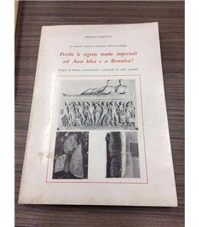 Le grandi scoperte silenziose dell'archeologia