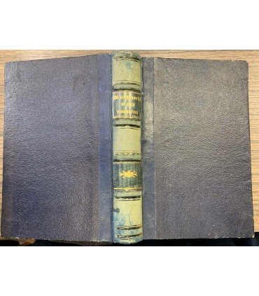 Le isoptire fiorentine