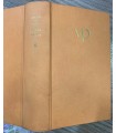 Allegoria e derisione. Una storia italiana. III