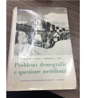 Problemi demografici e questione meridionale