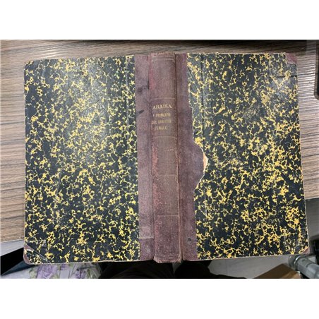 I principii del diritto penale