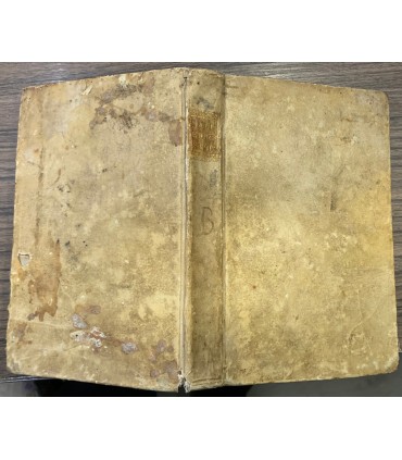 Dissertazione sull'educazione fisica